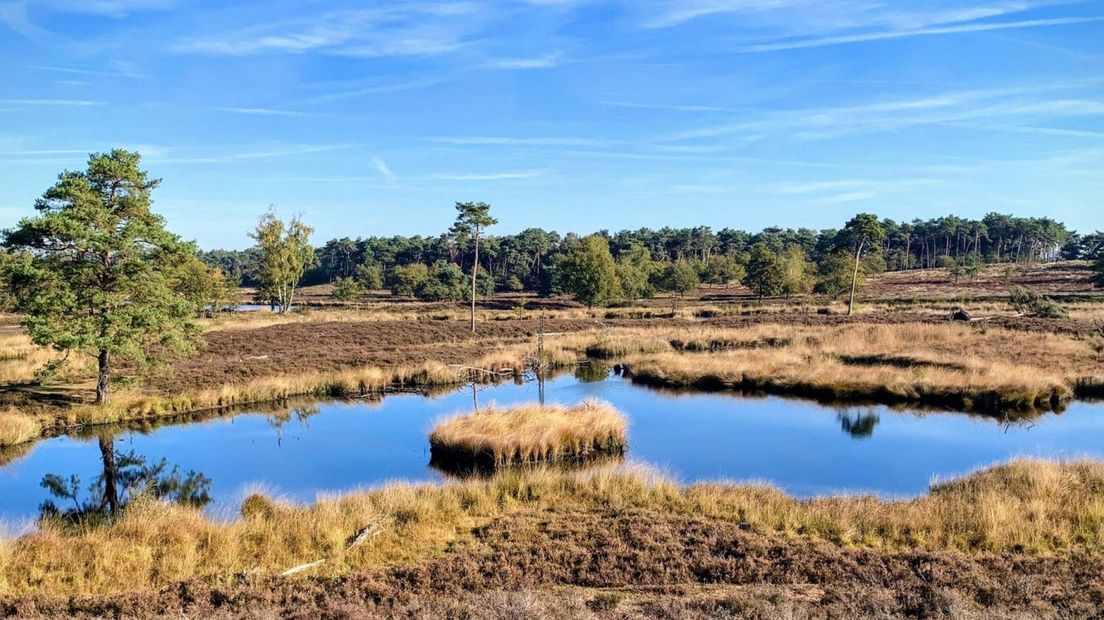 Oversasseltse en Hatertse vennen