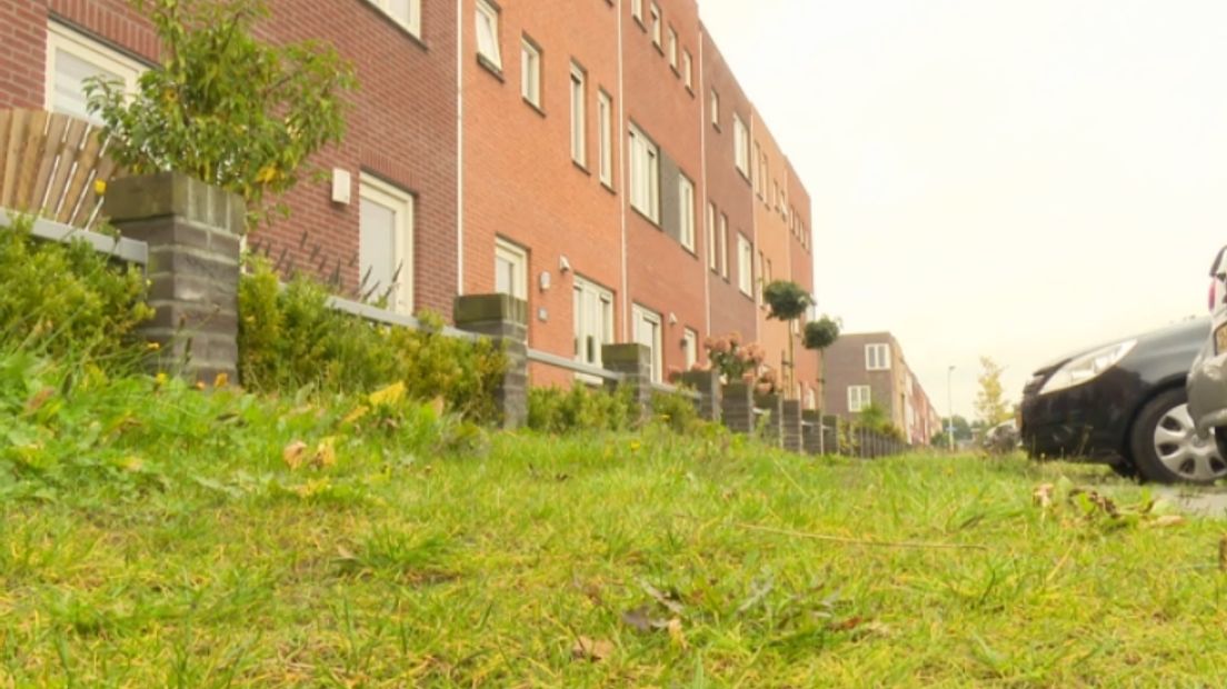 Hoogeveen wil in bezit komen van de openbare gronden in wijk Erflanden (Rechten: Archief RTV Drenthe)
