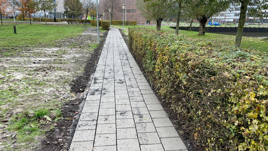 Het buffertrottoir in Groningen