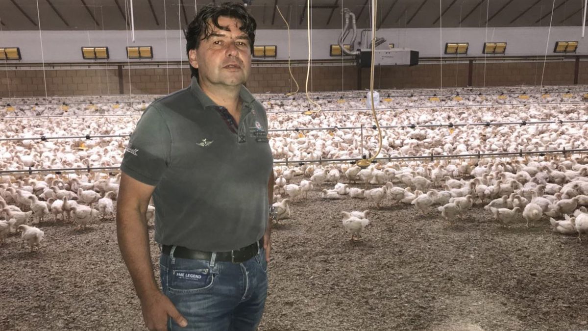 Kippenboer snapt zorgen buurt niet: 'Het is absoluut niet zo dat er meer overlast komt'