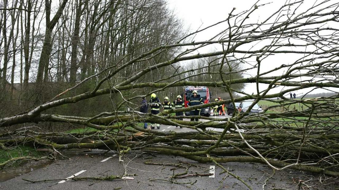 Het stormachtige weer zorgt zondag op veel plaatsen in Gelderland voor overlast. Tot 19.00 uur is code geel van kracht in onze provincie, meldt het KNMI.