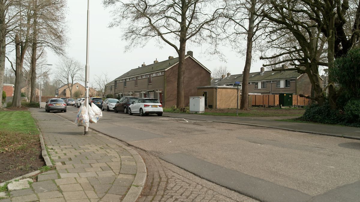 Man beschoten op grasveld midden in woonwijk - Team West