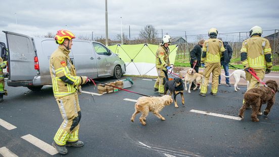 Geen brand, wel Fikkie: brandweer in actie na ongeval met hondenuitlaatservice. Geen brand, wel Fikkie: brandweer in actie na ongeval met hondenuitlaatservice.