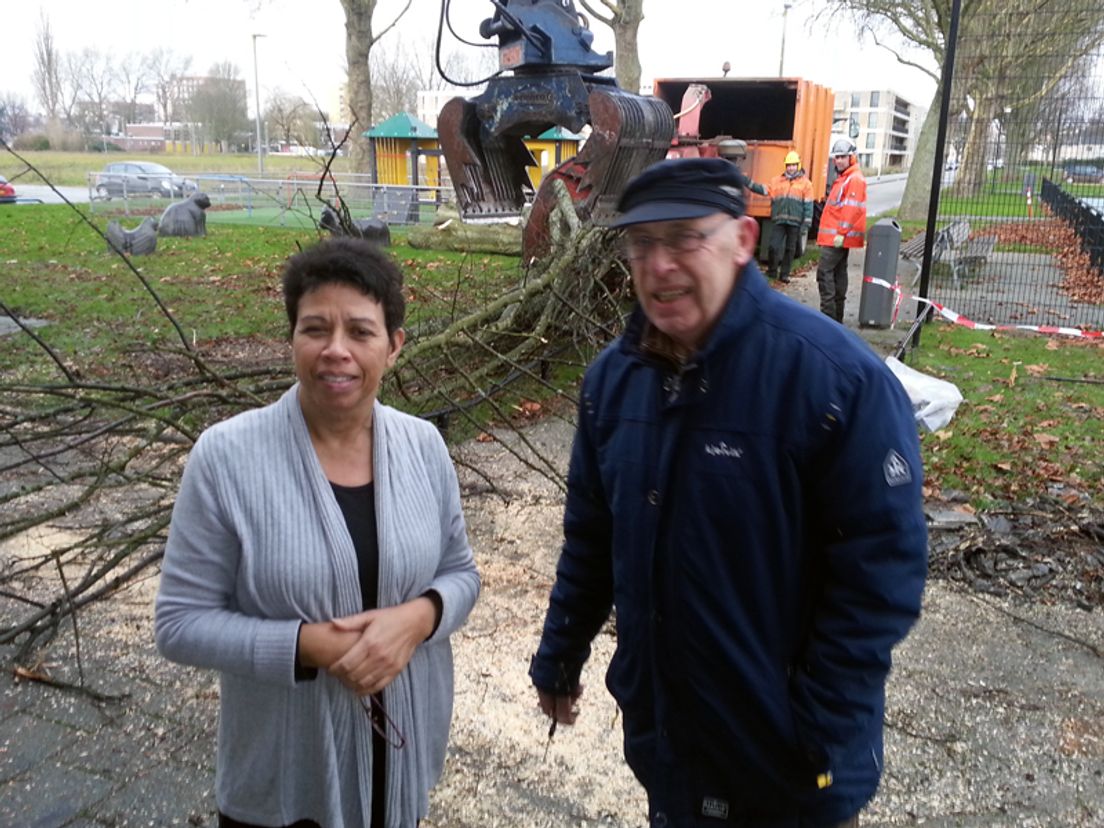 omgewaaide_boom_Maldenburg