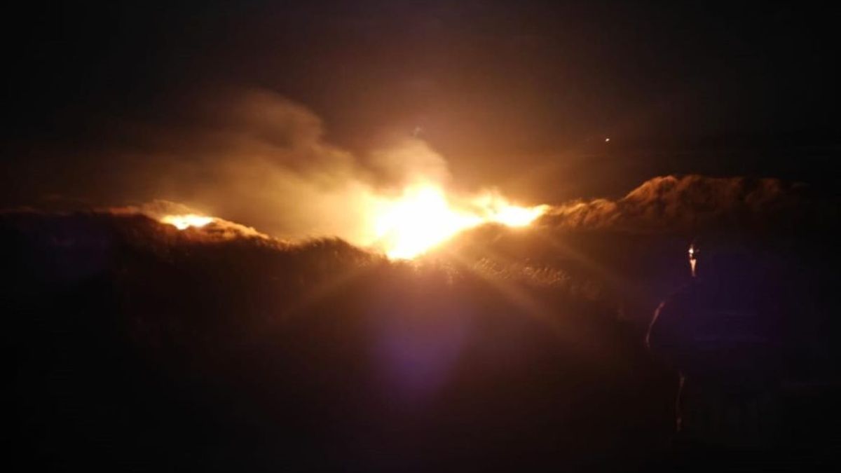 Brandweer blust brand in duinen Terschelling