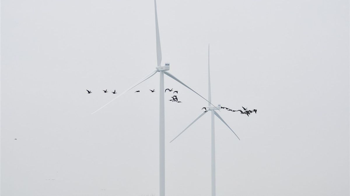 Nét korter dan de Eiffeltoren: dit plan ligt er voor windmolens in Buurse