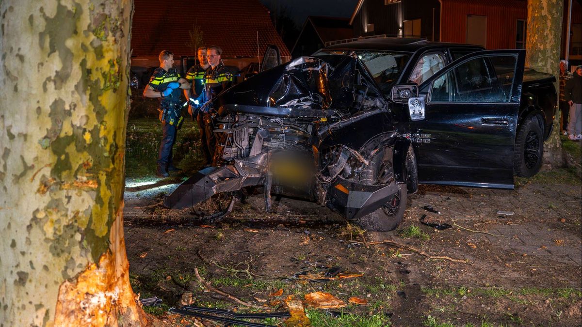 Bestuurder onder invloed bij crash tegen boom in Westervoort