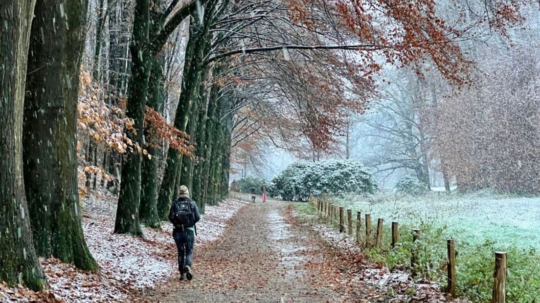 Park Sonsbeek in Arnhem vanmorgen.