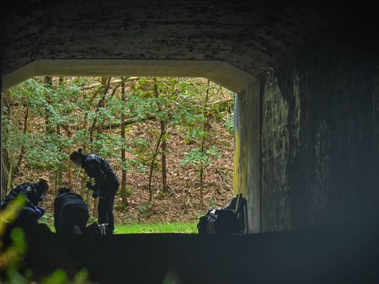 Lichaam gevonden bij talud langs A12 - Omroep Gelderland