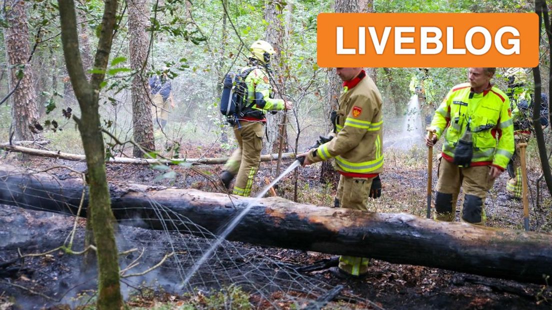 Brandweerlieden in bos bij Beekbergen.