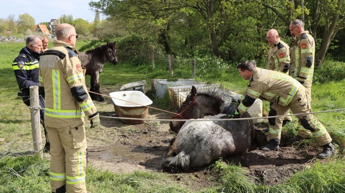 Paard door brandweer uit badkuip in weiland gered
