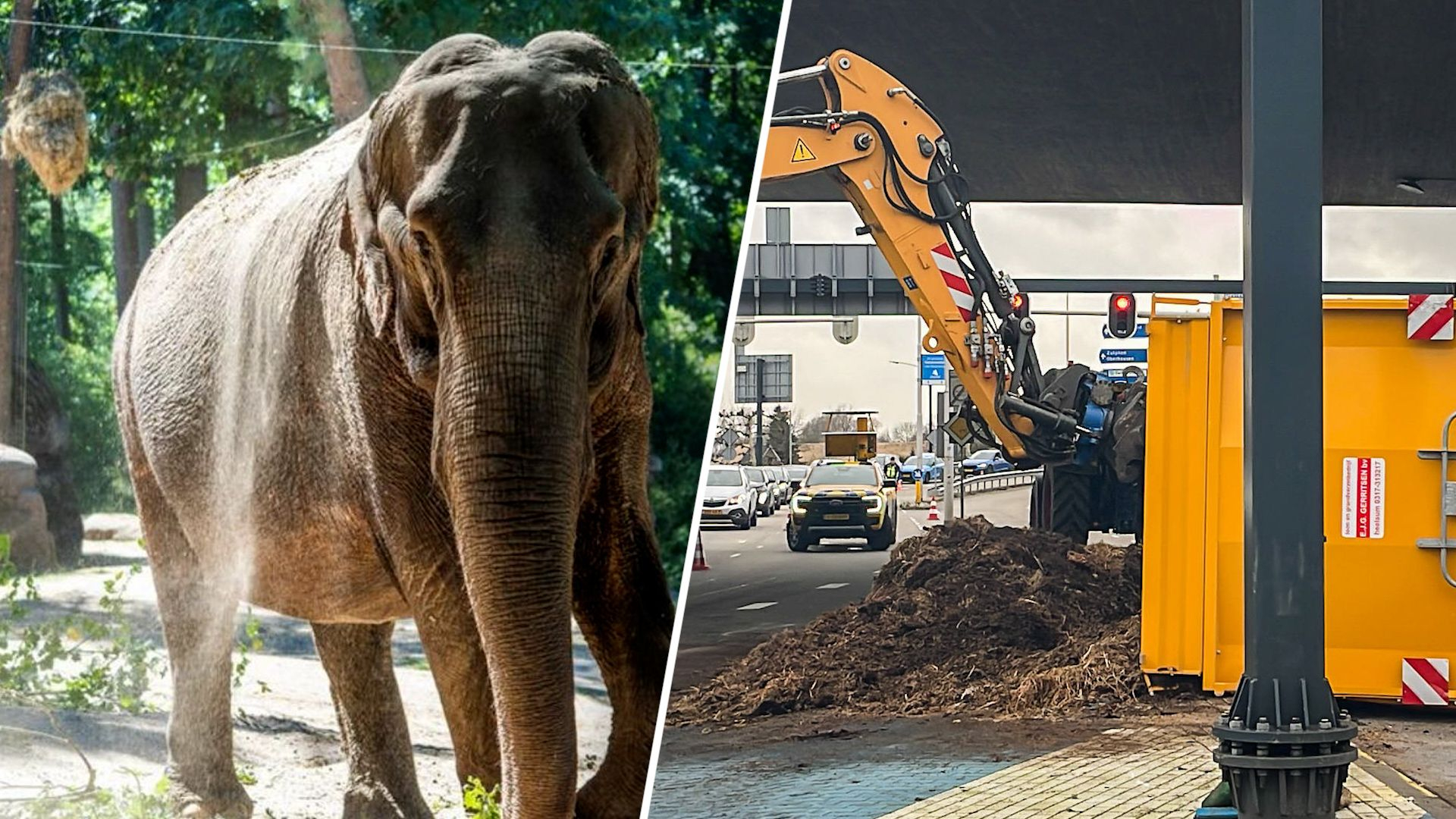 Files en stankoverlast door ongeval met olifantenmest