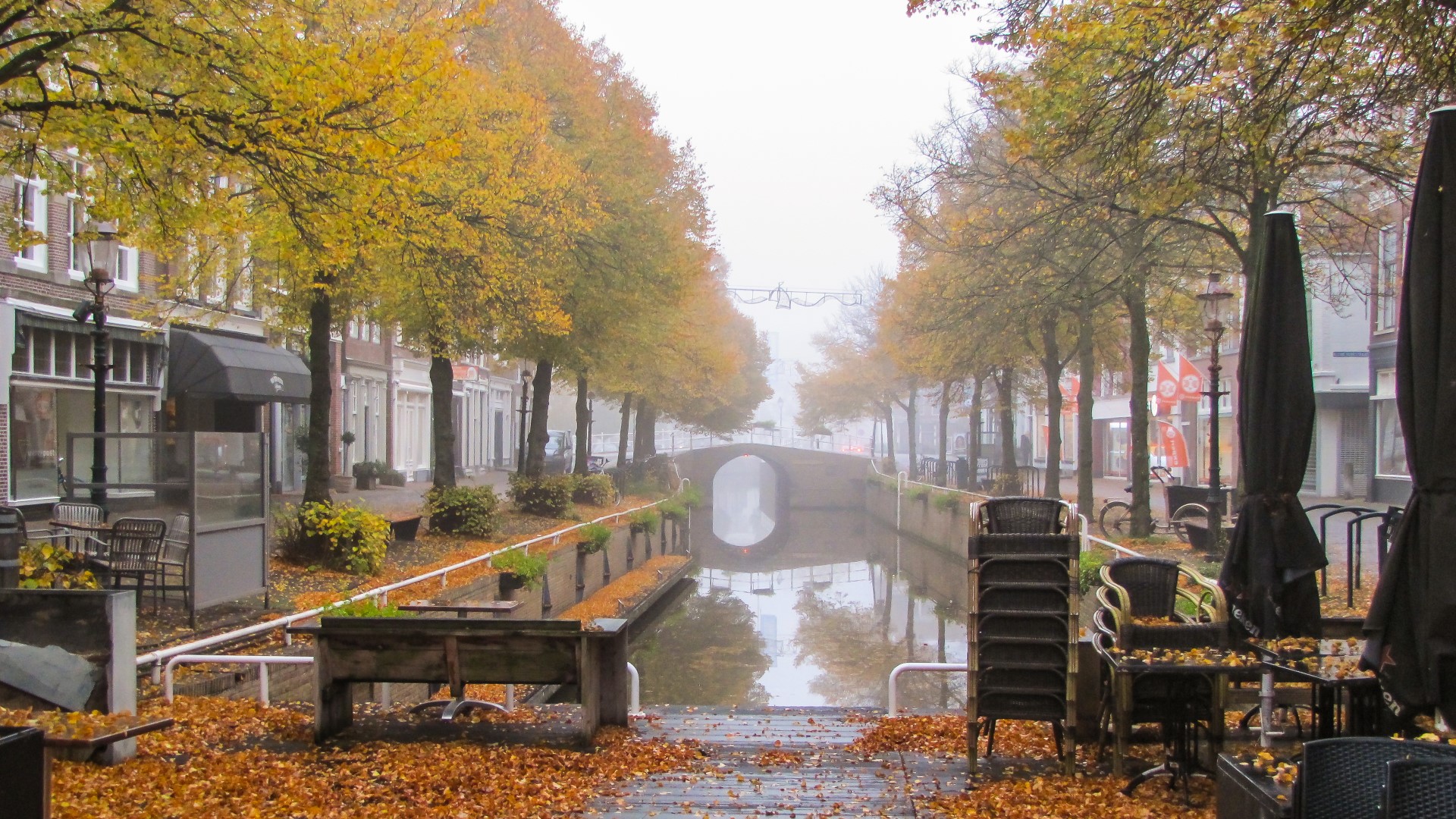 Mist en herfstkleuren