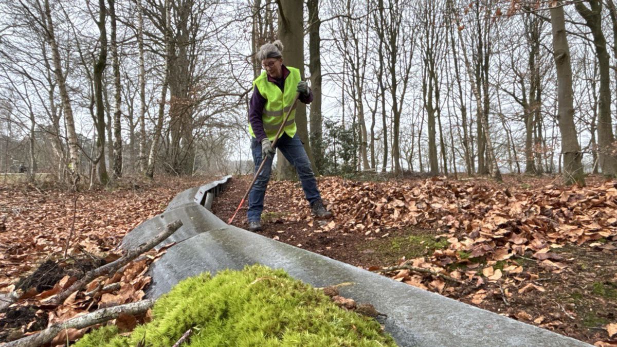 Padden niet meer van het padje door paddenredders in Gasteren