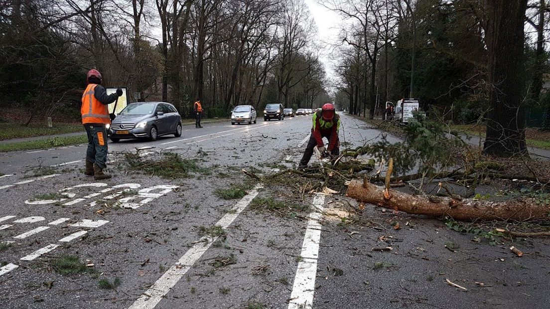 Verkeer tussen Enschede en Hengelo heeft last van afgewaaide takken