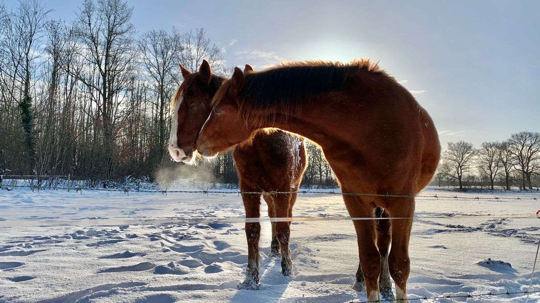 Een prachtig winters plaatje