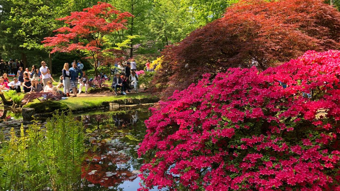 Veel bezoekers in de Japanse Tuin van landgoed Clingendael in Den Haag