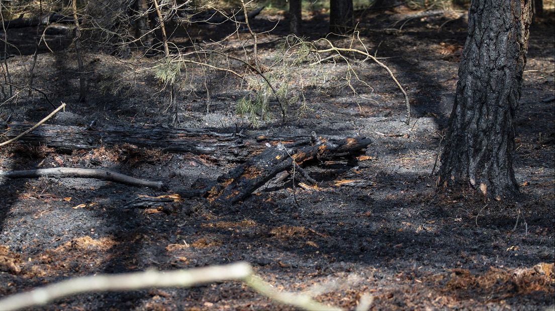 Natuurbrand in Holten