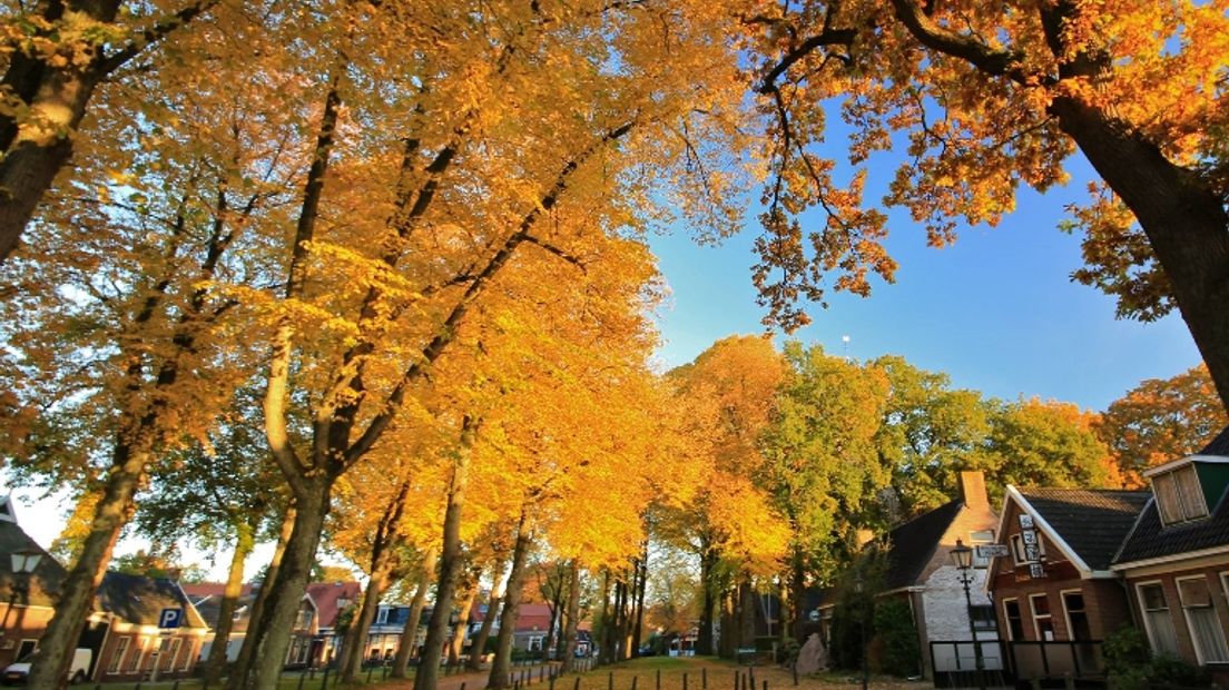 De zonnige herfst levert prachtige foto's op (Rechten: Johan Seubring)