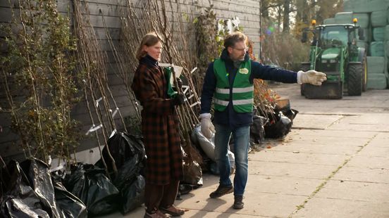 Bomen van 5 euro per stuk leveren tienduizenden euro's op