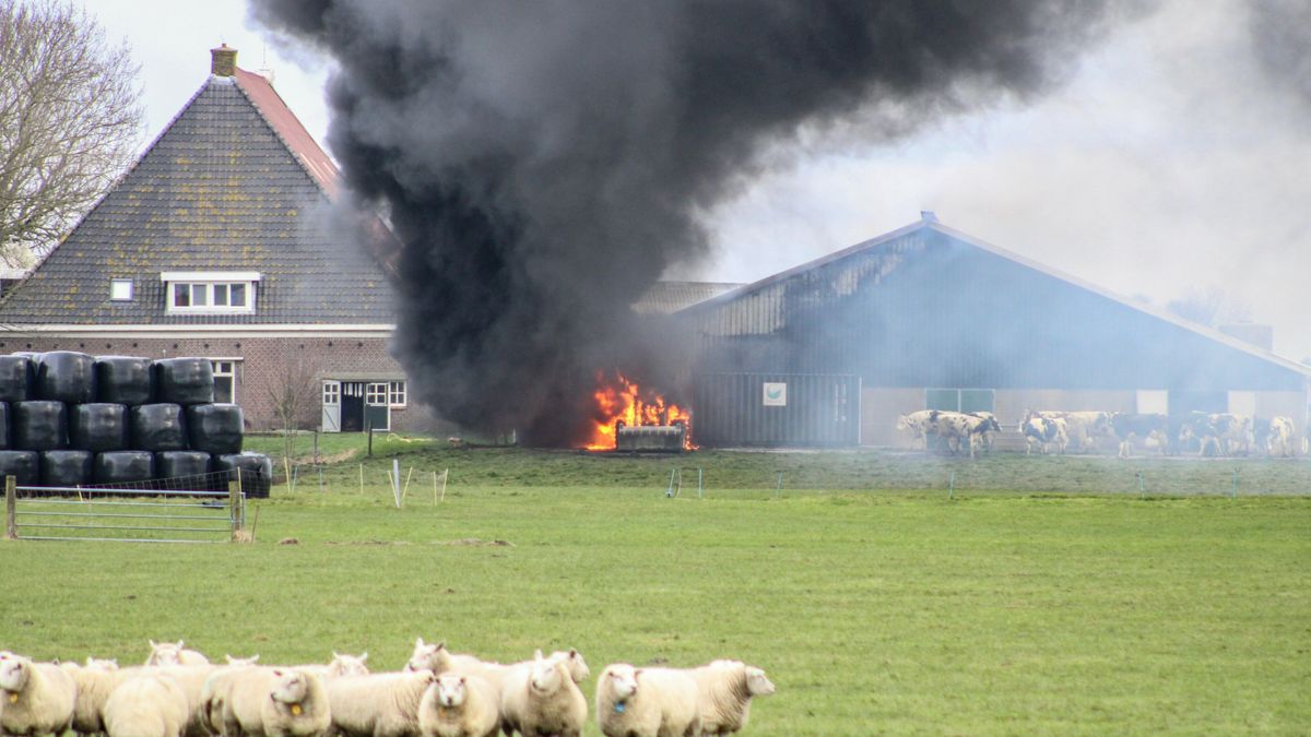 Geen gewonden bij brand Tjerkwerd | Dinsdag sneeuw verwacht