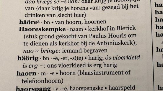 Dialek sjrieve: 'Schaam dich neet, doog ’t gewoan' Nieuws