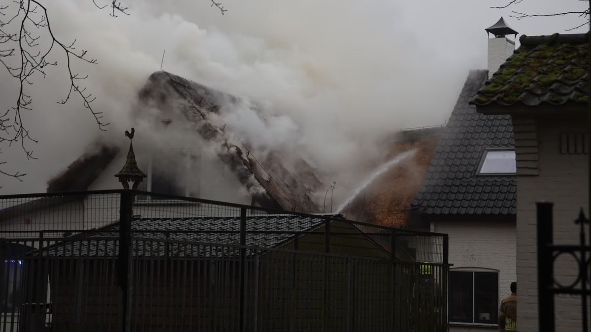 Brand in rieten kap van woning in Heijen onder controle, pand flink beschadigd