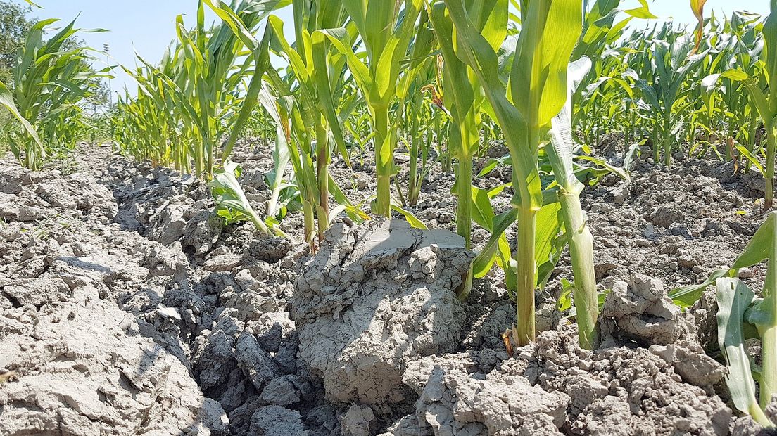 Droogte op het land