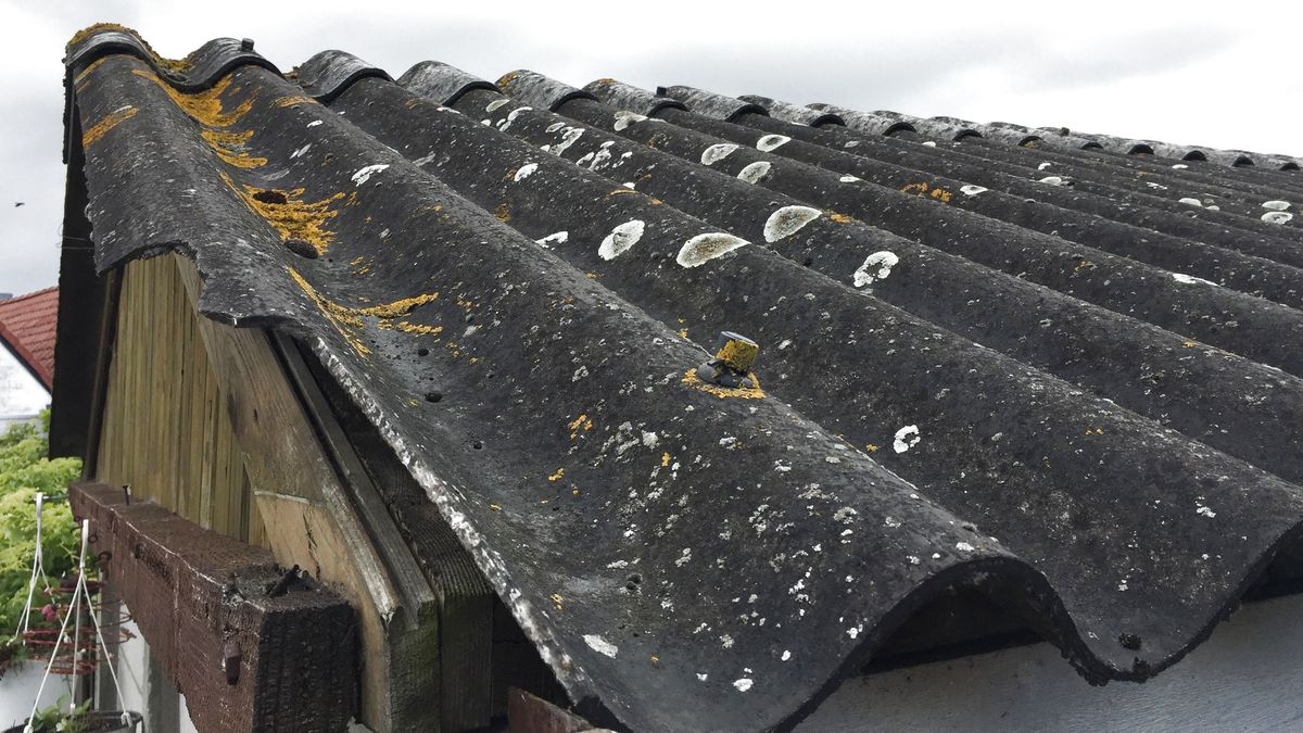 Zeeuwse boeren blij met wegstemmen van verbod op asbestdaken