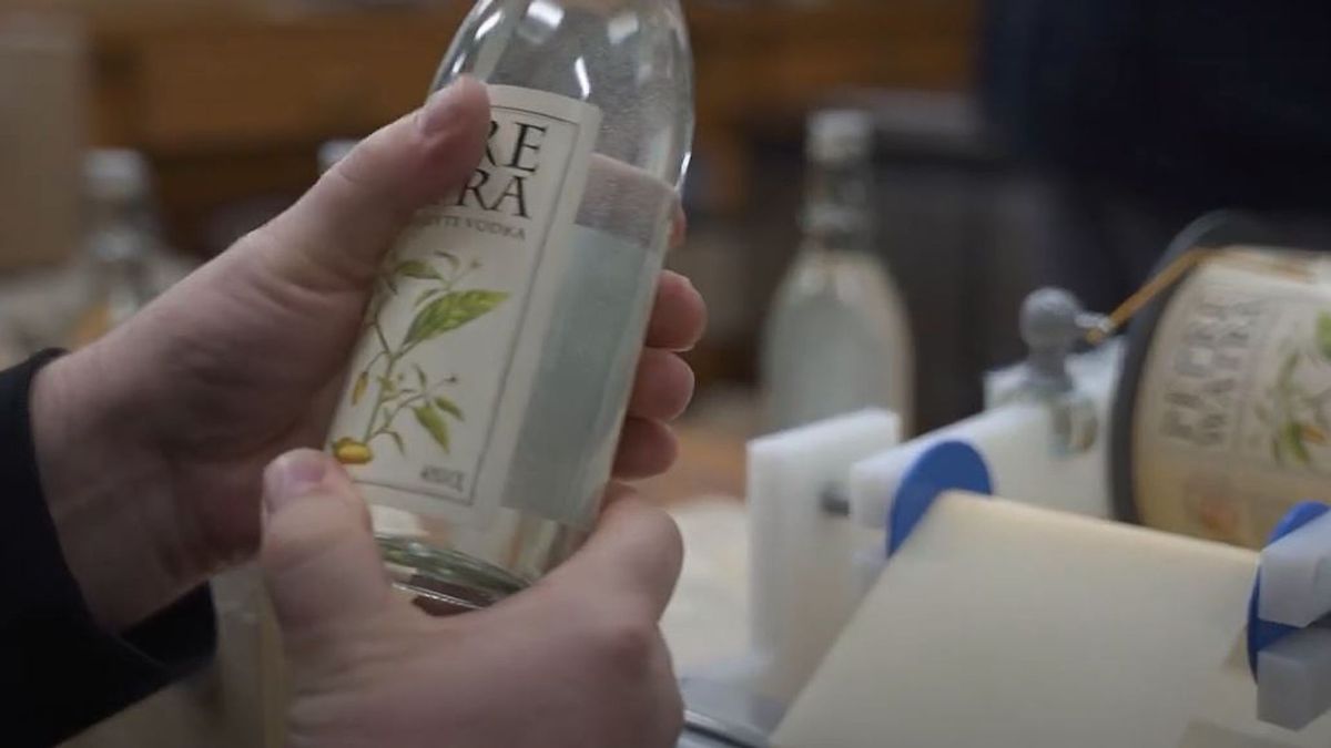 Stefan en Sjaak maken gin van Surinaamse groente - Rijnmond