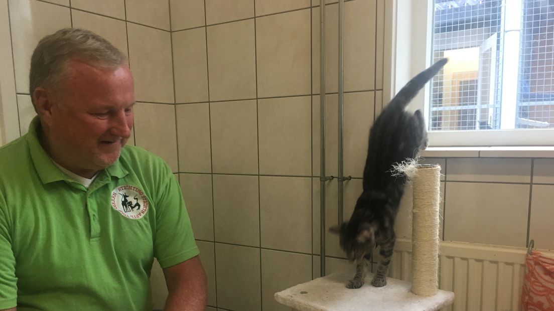 Bart Dielessen van Dierenasiel Utrecht in het katenverblijf.