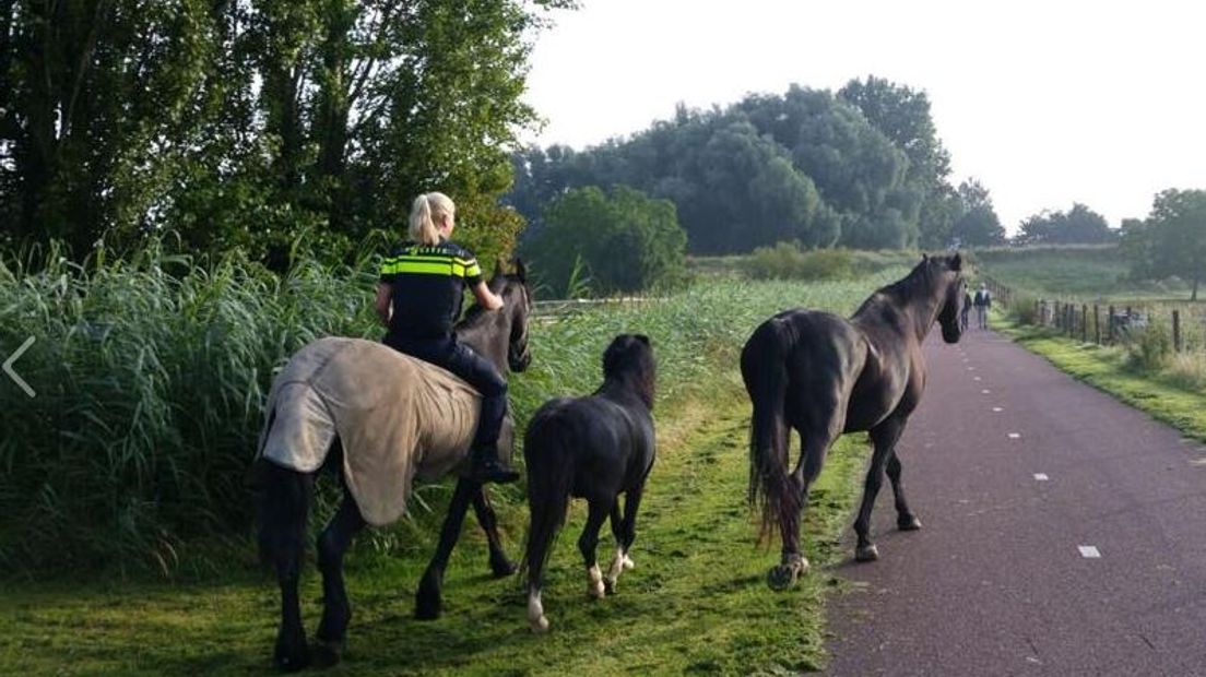 Foto Politie Arnhem-Zuid op Facebook