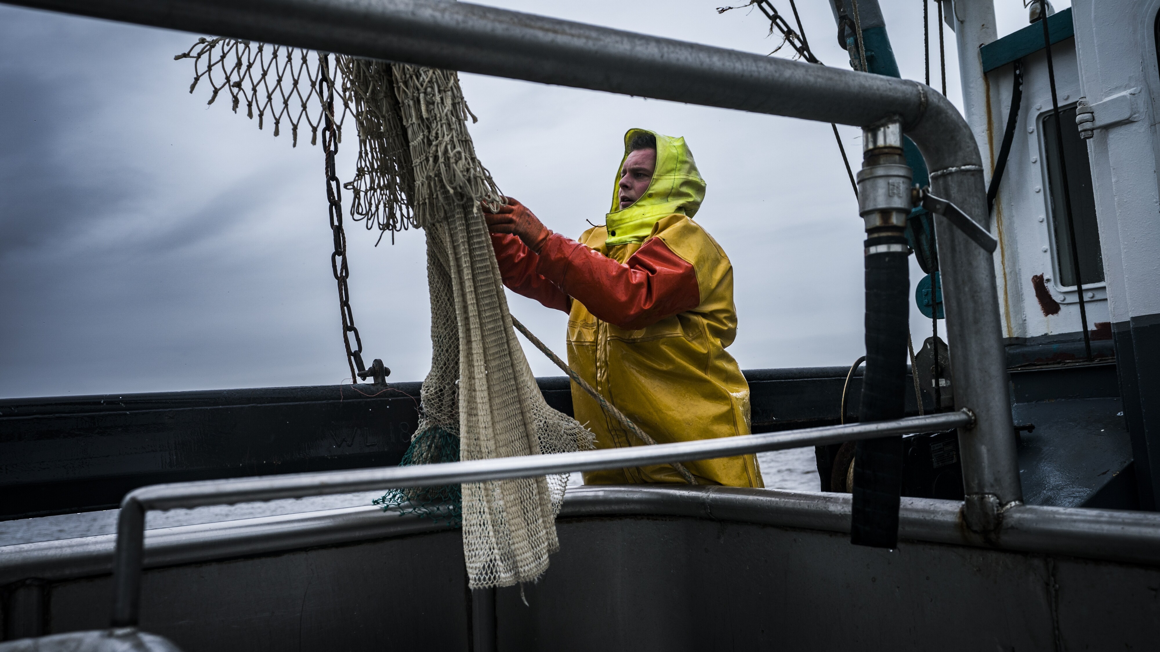 Fiskje op garnalen