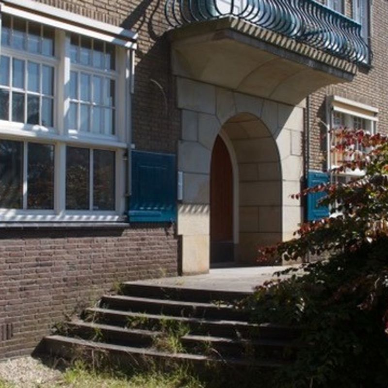 Monumentale tuin bij raadhuis Eelde verwoest, maar er gloort hoop RTV