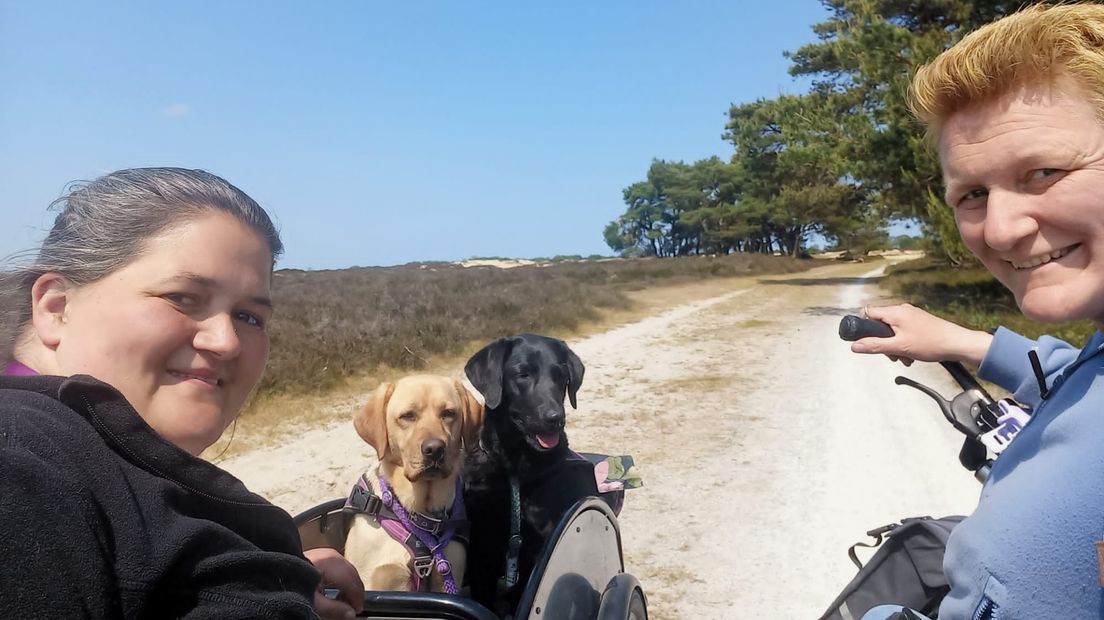Bente (links) en Cindy met hun hulphonden onderweg