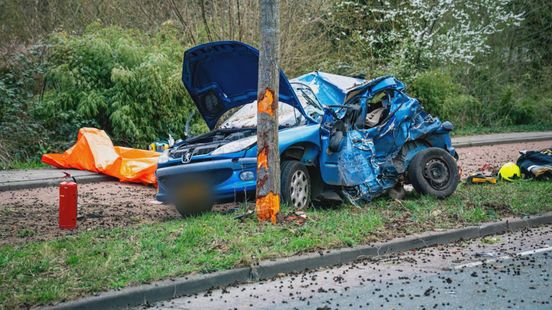 Bestuurster die na aanrijding op boom botste overleden, andere bestuurder opgepakt. Bestuurster die na aanrijding op boom botste overleden, andere bestuurder opgepakt.