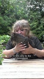 Joly helpt 17 zwerfkatten