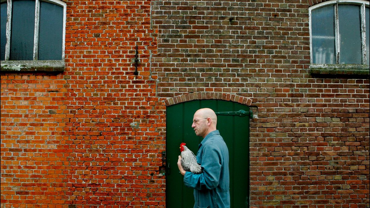 Woede en wanhoop na vogelgriep Terhole: 'Door die hobbyboeren zitten we in de shit'