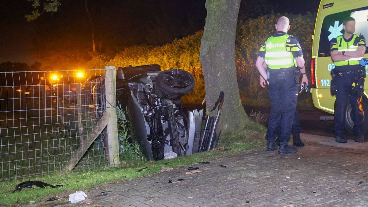 Automobilist (24) aangehouden na crash tegen boom