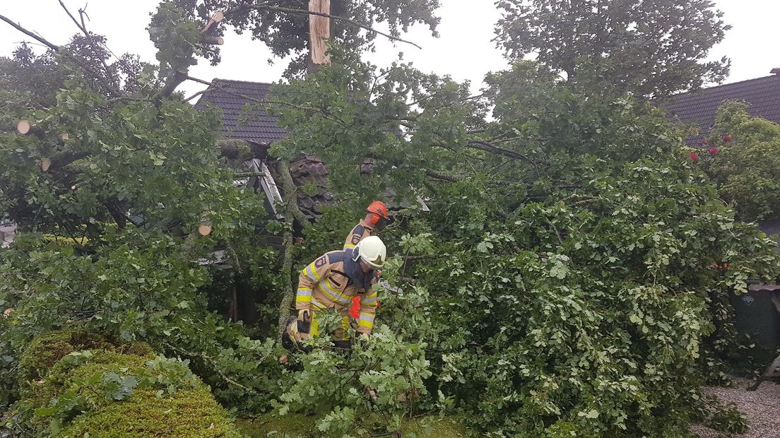 In Dedemsvaart waaide een boom op een kippenhok