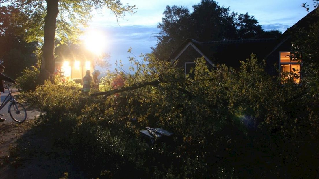 Beschadigde boom valt om in Lettele