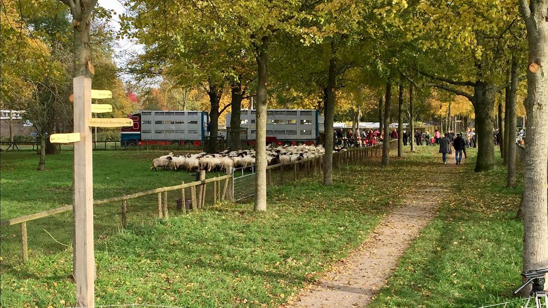 Op weg naar de veewagen