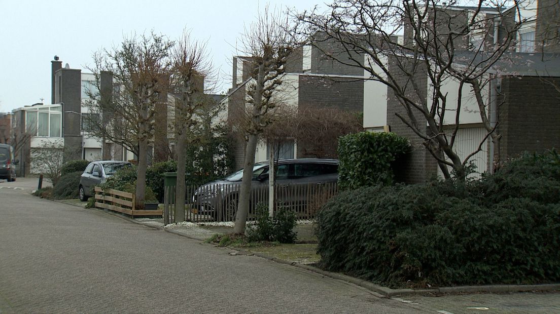 De Peperstraat in Voorhout