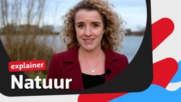 Wat doet de provincie voor onze natuur? Wij leggen het je uit in deze video