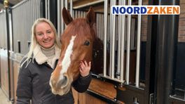 Gestopt springtalent Amber Meijer uit Veendam nu succesvol in de paardenhandel