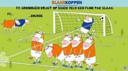 Blaarkoppen: en het was nog niet eens vrijdag de dertiende