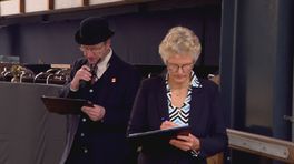 Nieuwslezeres gescout voor Radio Noord