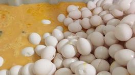 Ministers volgen aanbevelingen op uit 'niet fraai' fipronilrapport