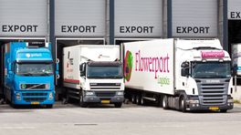 Gedeputeerde: 'Limburgse logistieke sector blijft groeien'