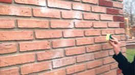 Russische lhbti-stellen uit azc Ter Apel gehaald na incident